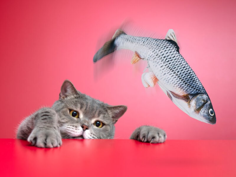 Spralla Sprællende Fisk Kattelegetøj thumbnail