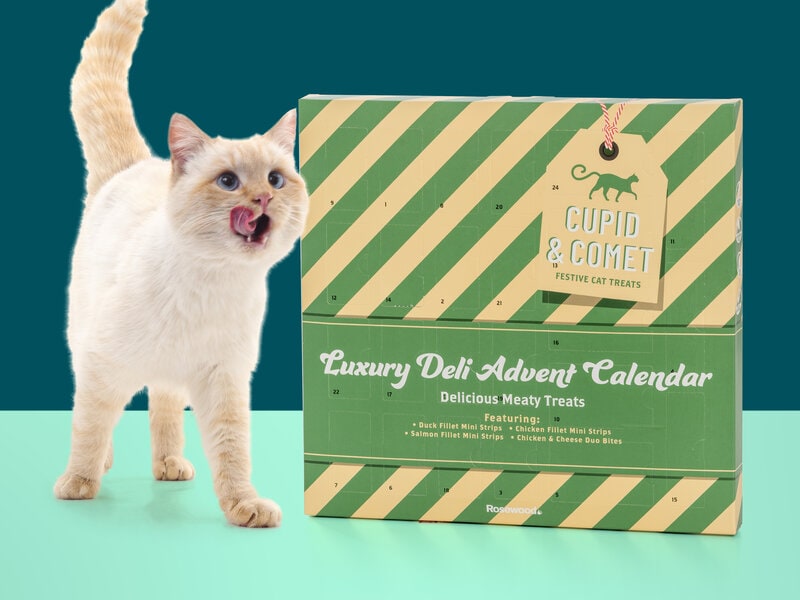 Cupid & Comet Luxury Kattkalender