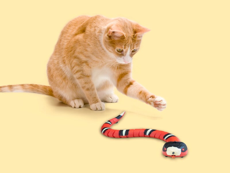 Smart Sensing Snake Kattelegetøj