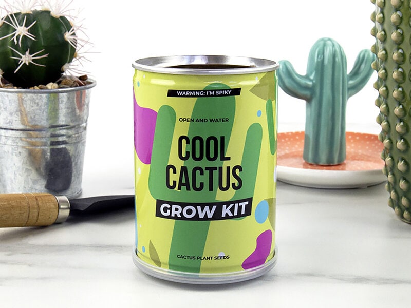 Cool Cactus konservväxt. En läcker aluminiumburk i grönt/lila/blått/svart. Öppna och vattna och vänta på att kaktusen tittar fram! Finns att beställa hos Coolstuff.