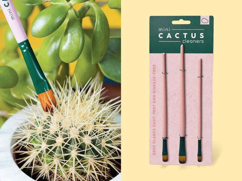 Läs mer om Mini Houseplant Rengöringspenslar för Kaktus