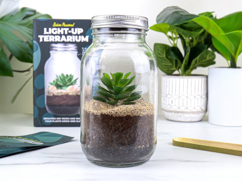 Solcelle Terrarium