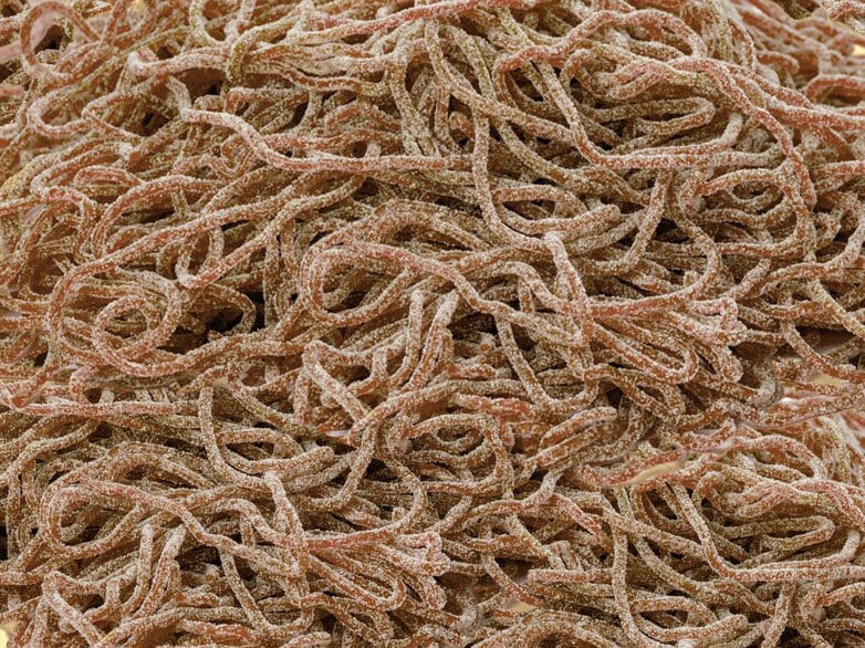 Spaghetti Cola Bland-selv slik i kasser 1 kg