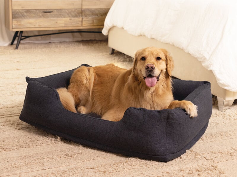 Oppustelig Hundeseng - Intex Oppustelig Hundeseng - Intex