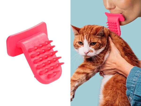 Lick Kattborste