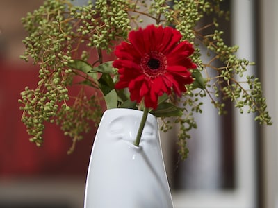 Tunteiden Maljakko - Tassen