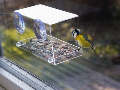 Utenu Vogelhaus fürs Fenster