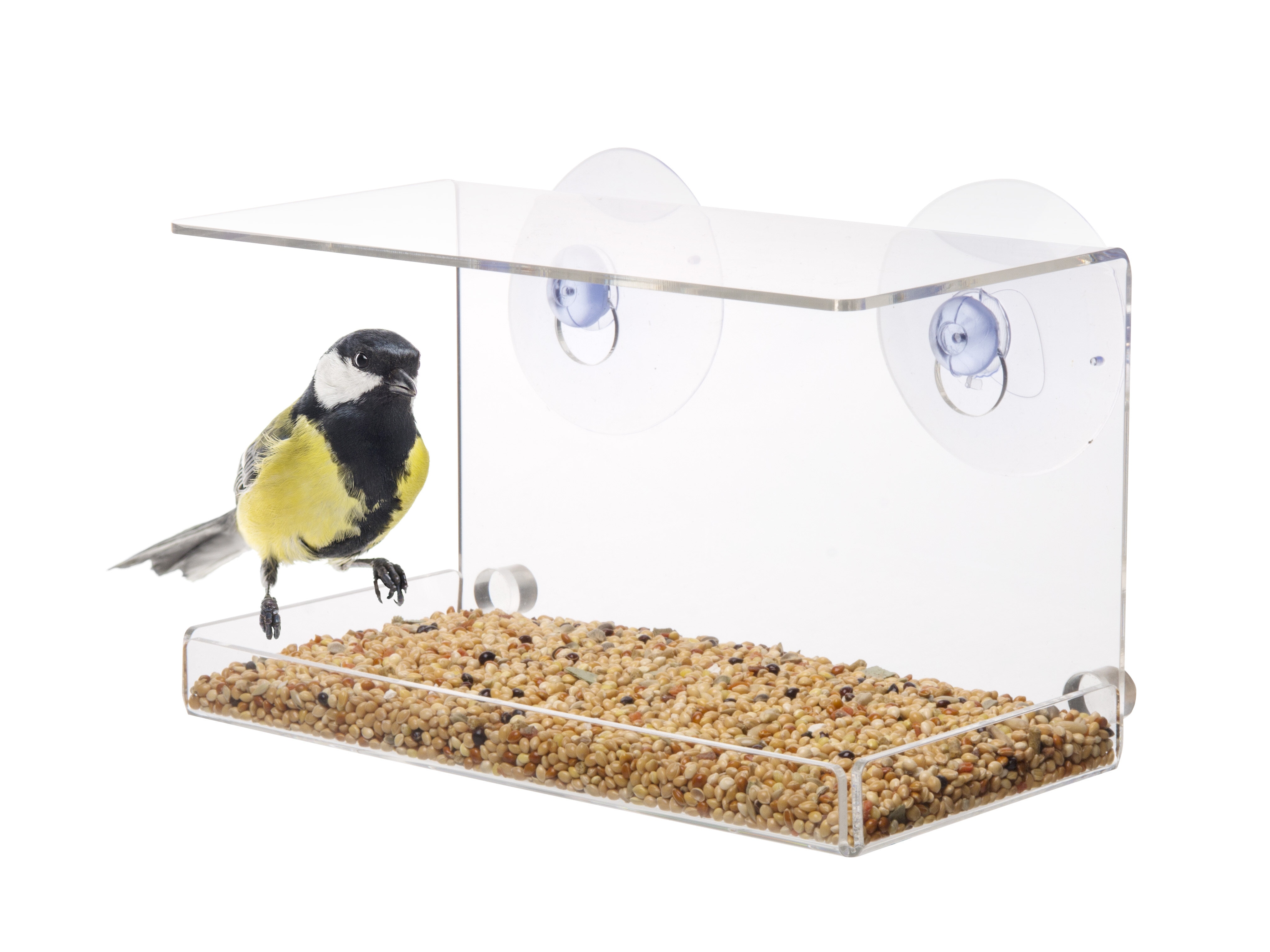 Fågelmatare fönster