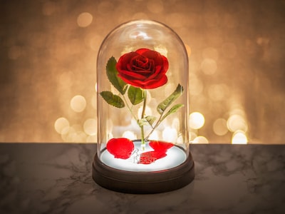 Skönheten och Odjuret-lampa