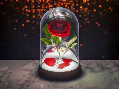 Rose in Glaskuppel