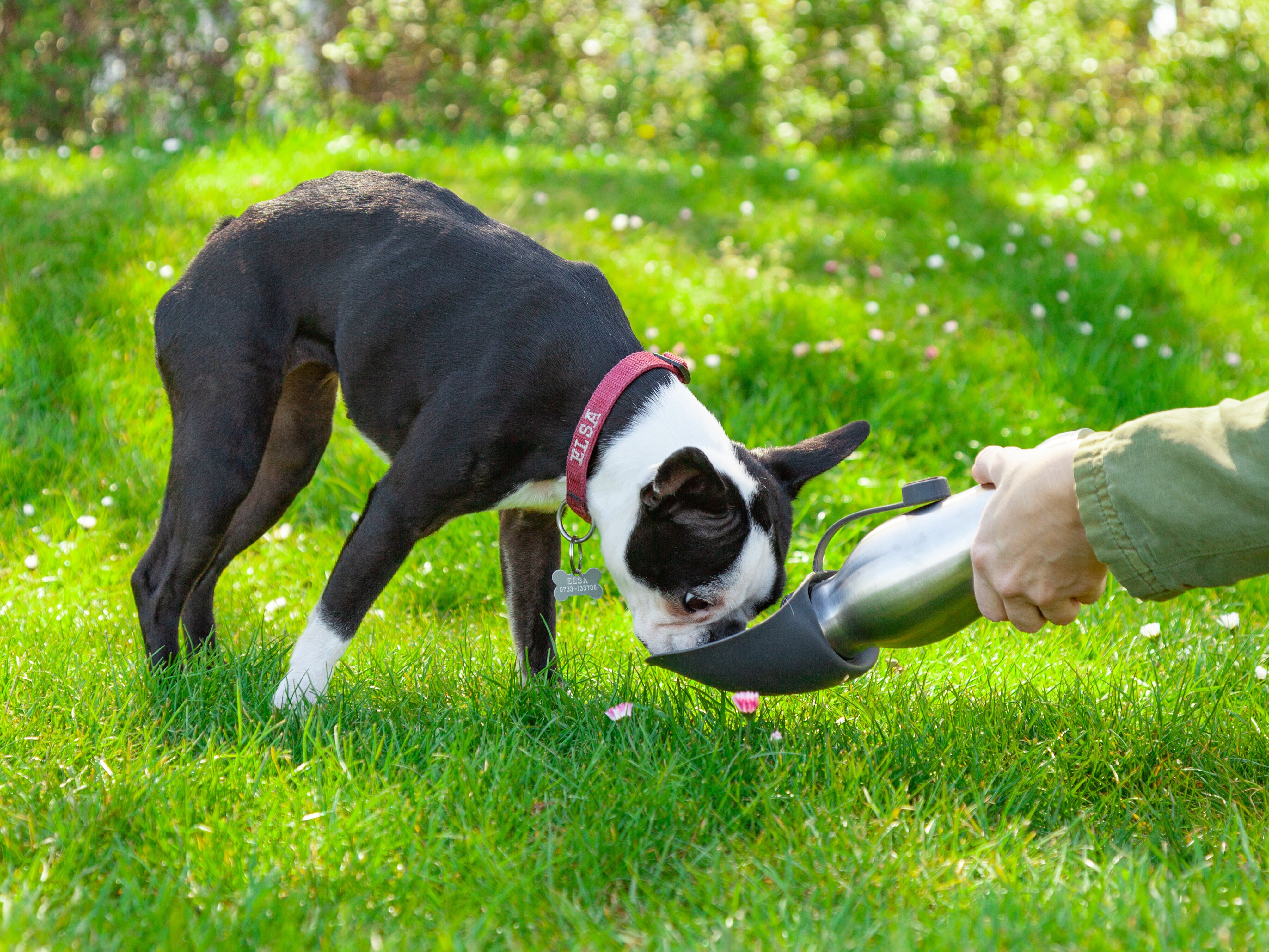vattenflaska med skål
