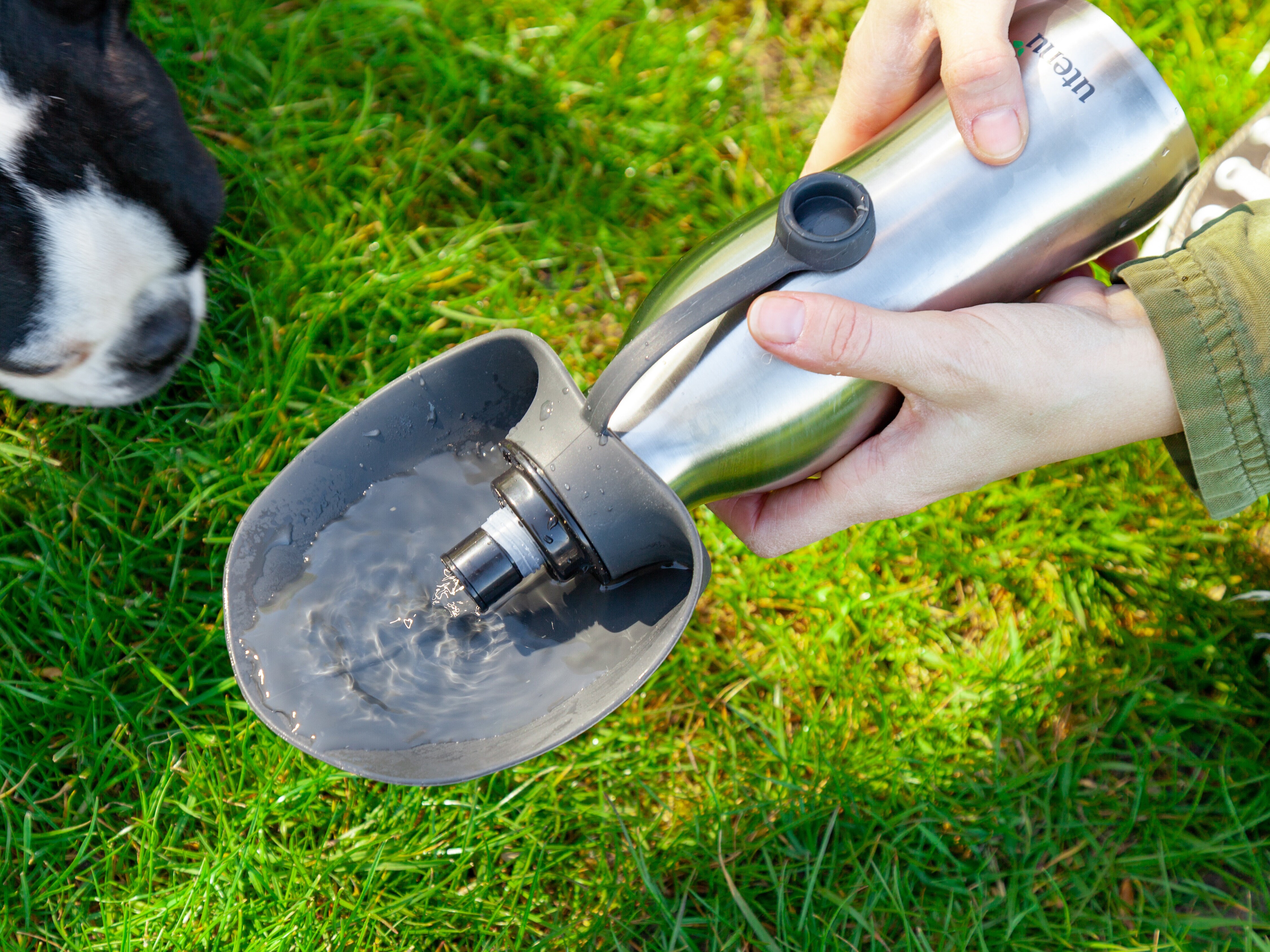 Vattenflaska för Hund - Utenu