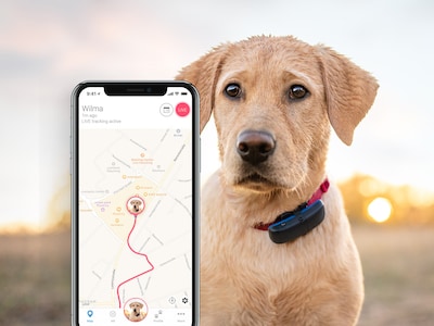 Tractive koiran GPS