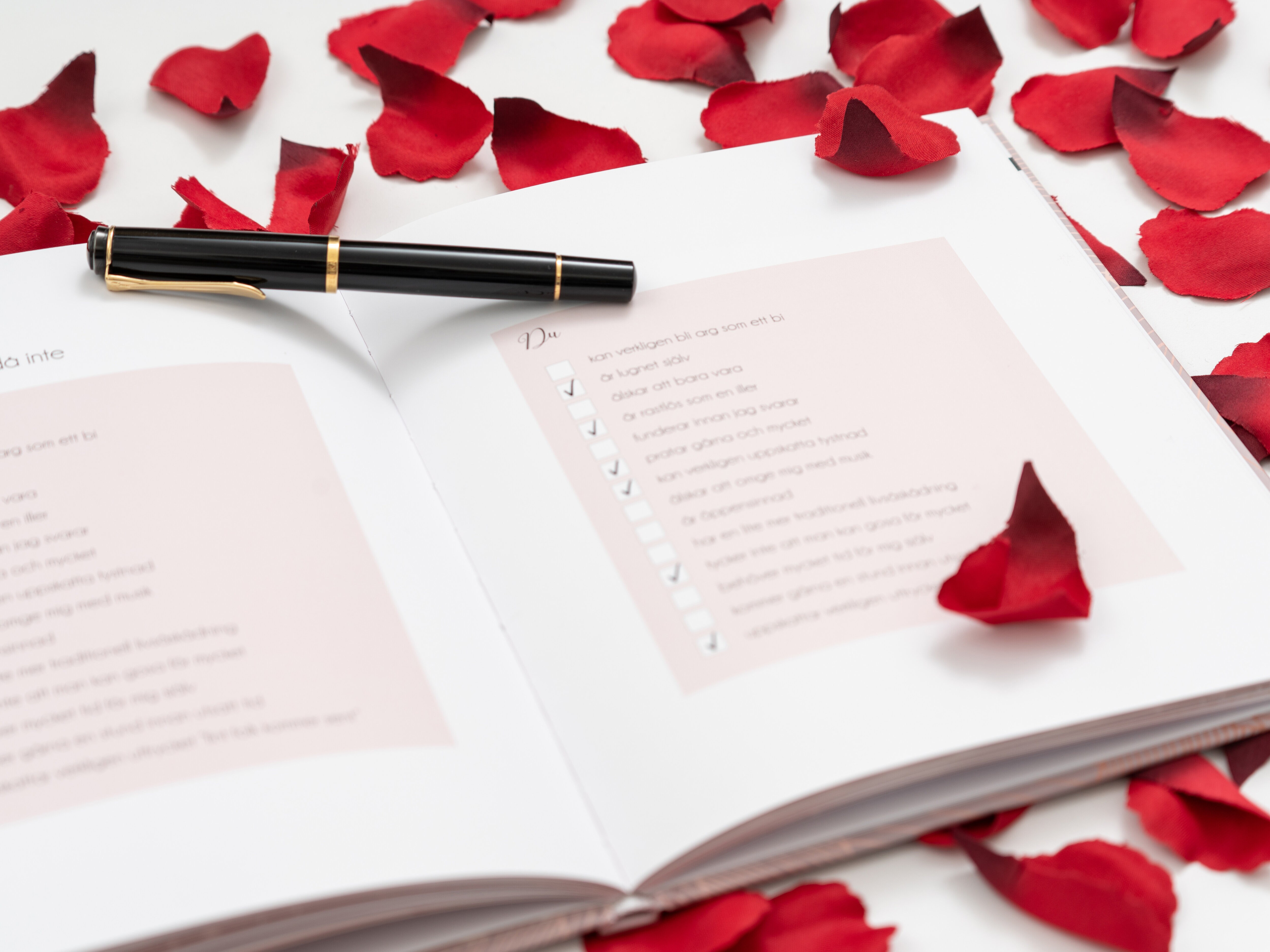 En Kärleksförklaring Fyll-i-bok