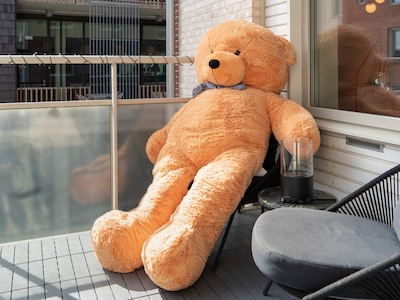 Supergigantisk teddybjørn - Cozy
