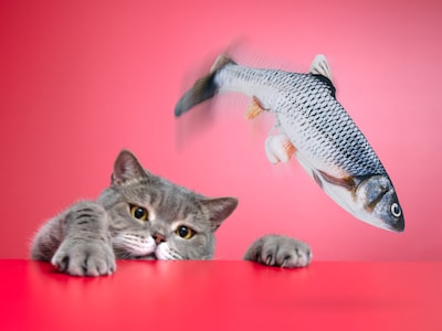 Spralla sprellende fisk katteleke