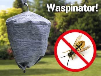 Waspinator GetingskrÃ¤mma 2-pack