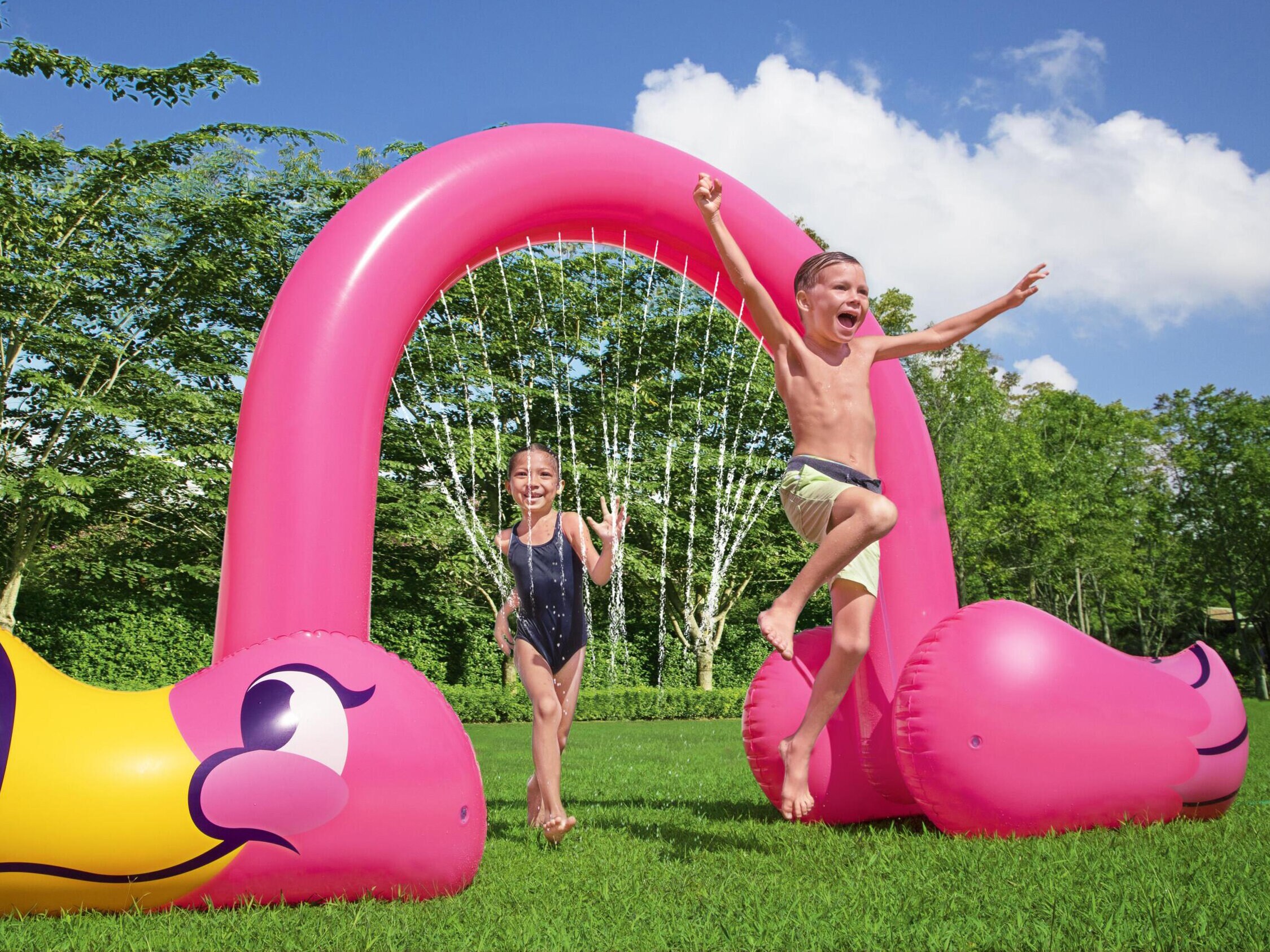 Bestway vattenspridare