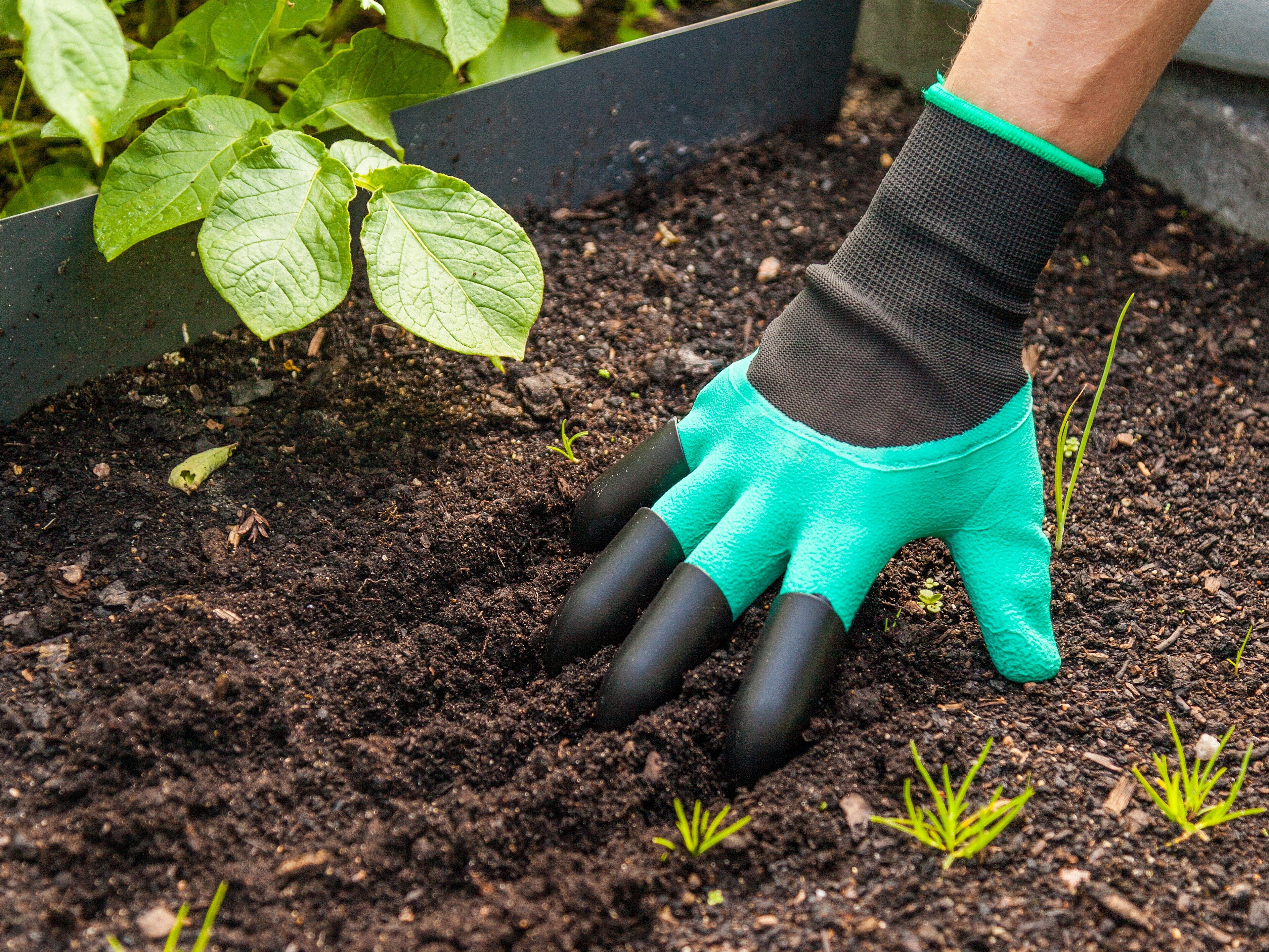 CNS Krallen Handschuhe liefert Gartenpflanze Graben Schutzparty Dekor CN 