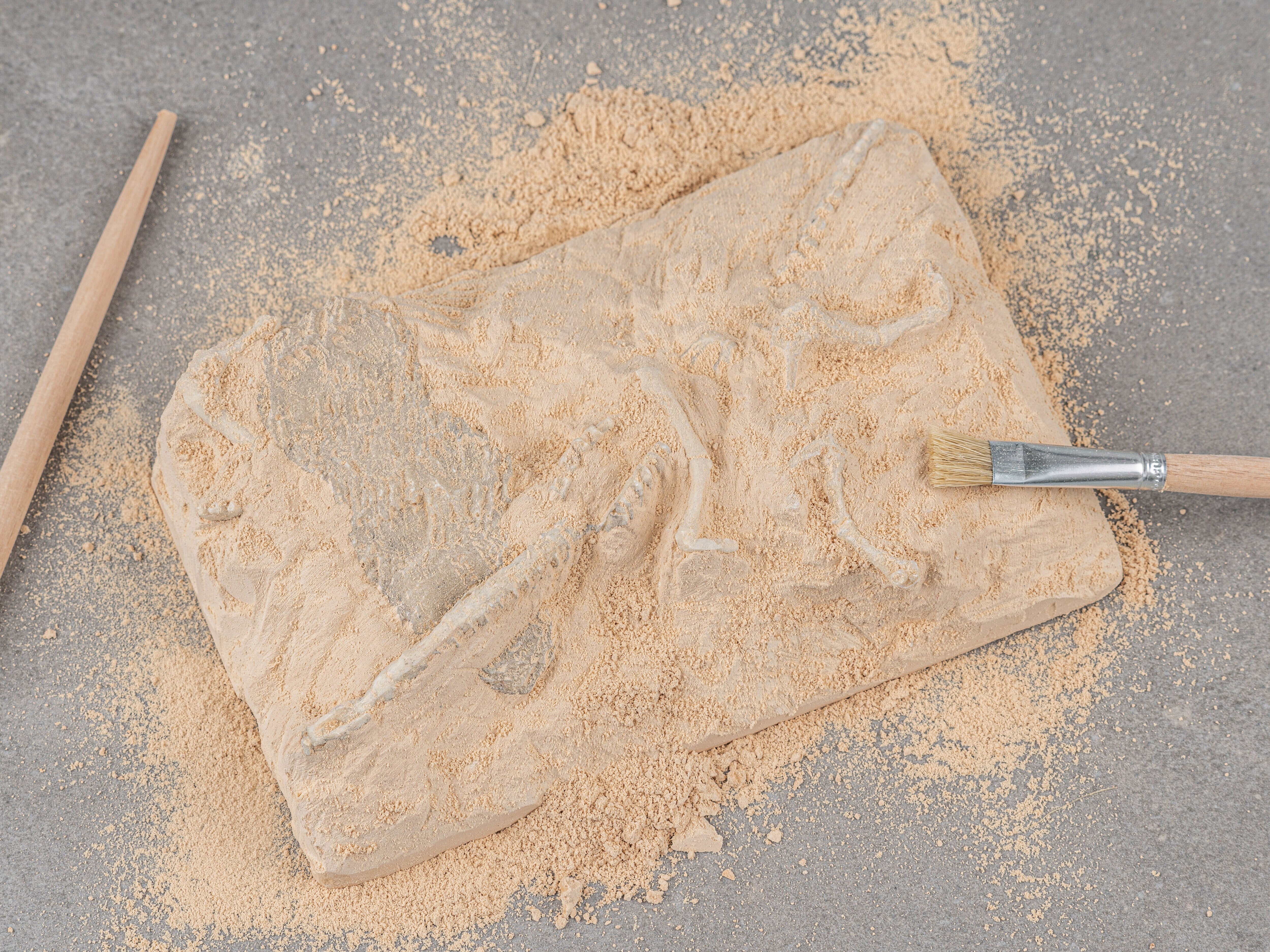 dinosaur utgrävning