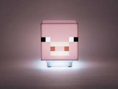 Minecraft pig light