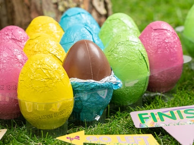 Set Ostereiersuche mit Ostereiern und Wegweisern