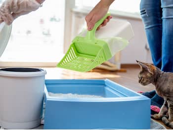 Scoop Up! Kattesandspade med beholder