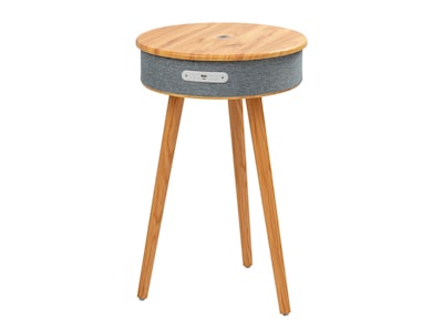 bluetooth högtalare