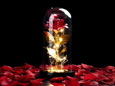fortryllet rose lampe
