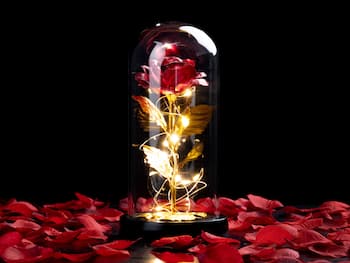 Spralla® Lumottu Ruusu -lamppu