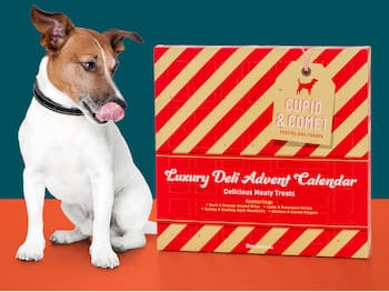 Cupid & Comet Luxury Adventskalender für Hunde
