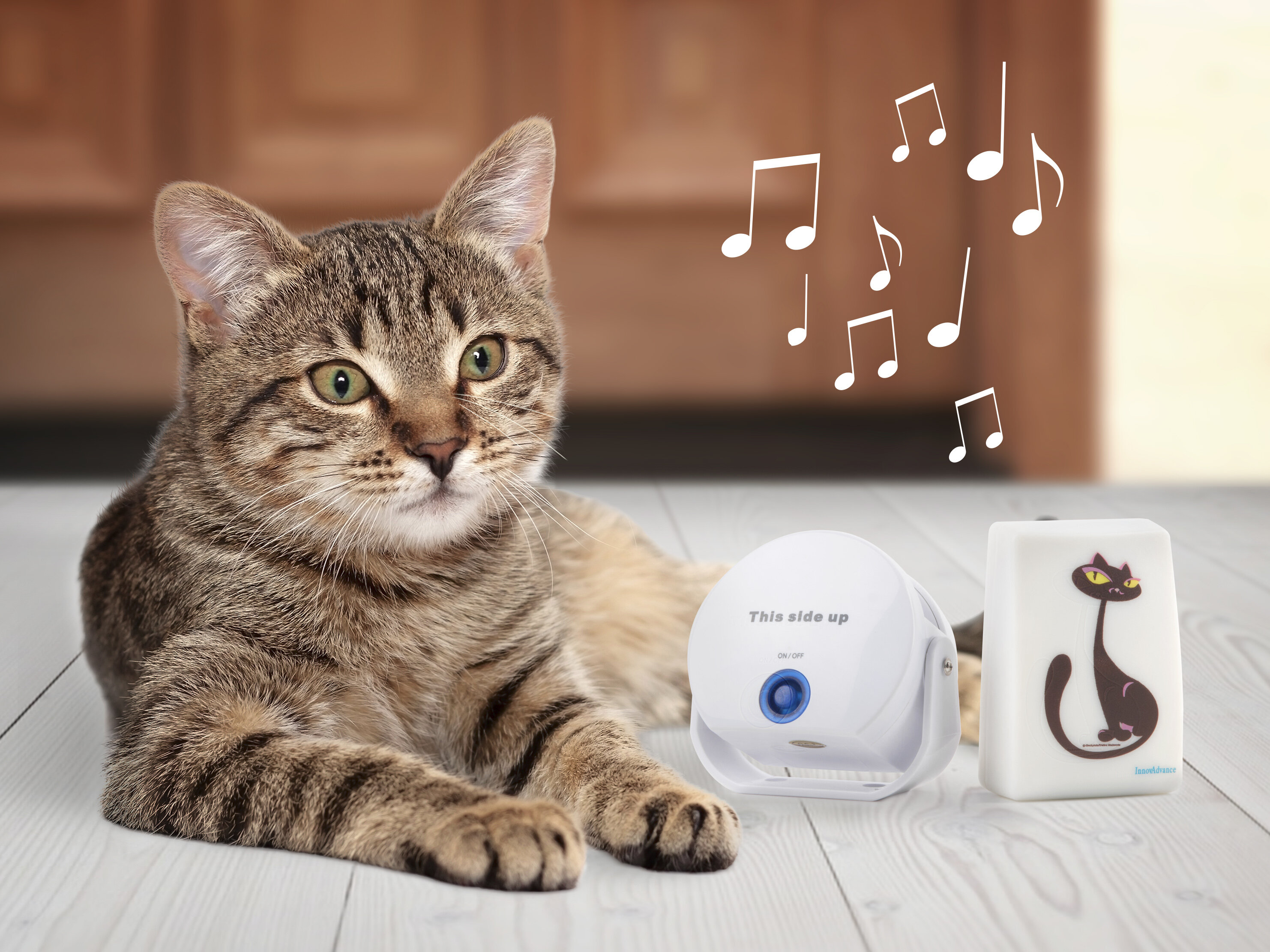 Kaufe Cat DoorBell Katzenklingel Online auf Coolstuff