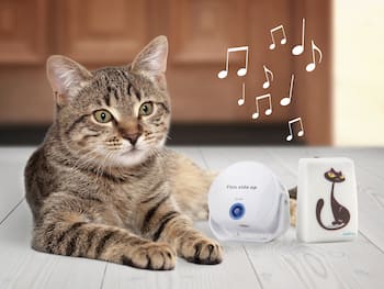Dörrklocka till katten.