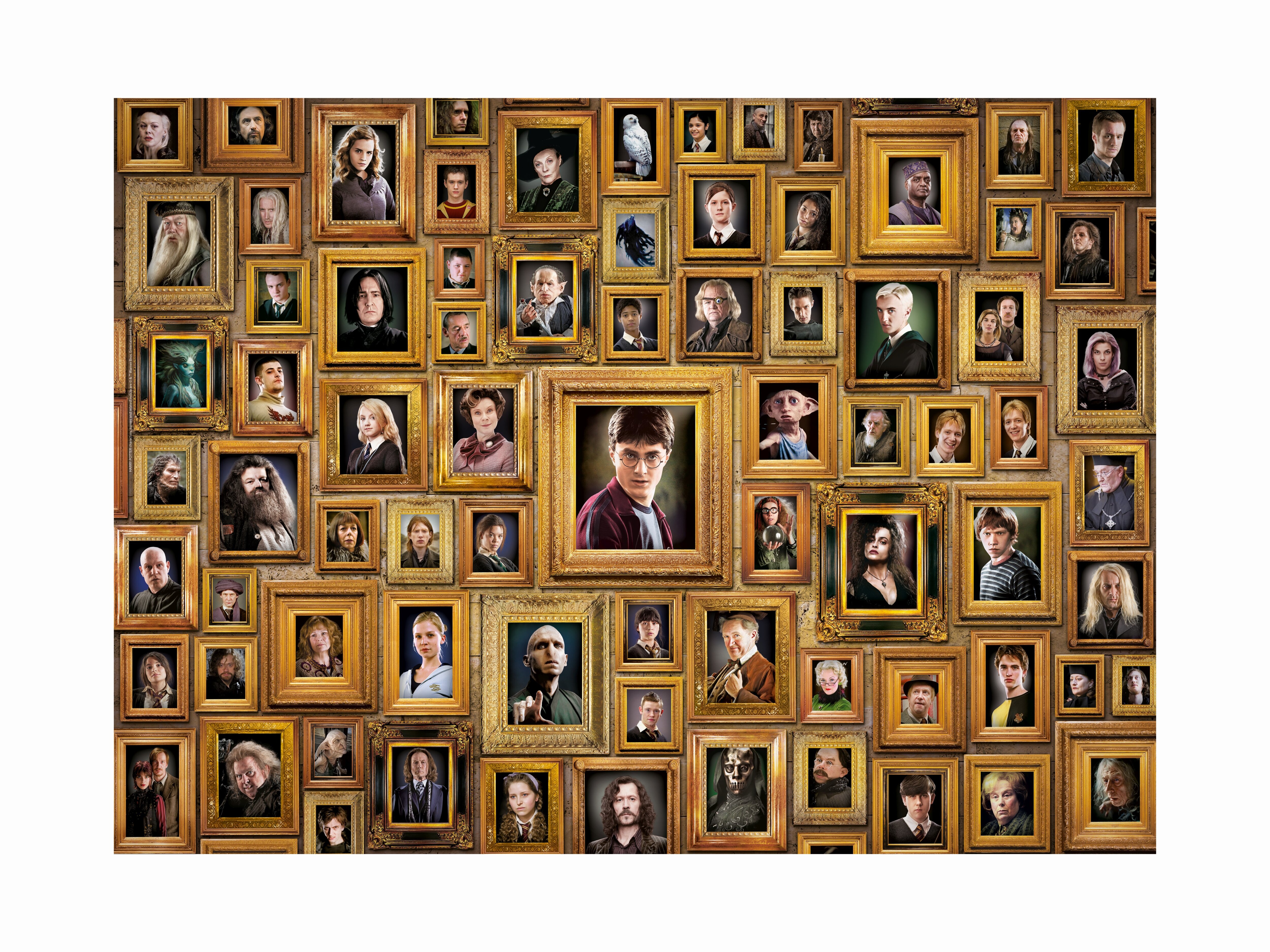 harry potter 1000 bitar pussel