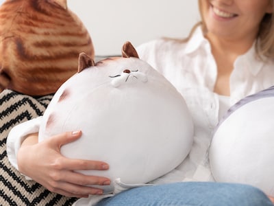 kattepute