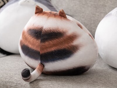 Chubby cat pillow