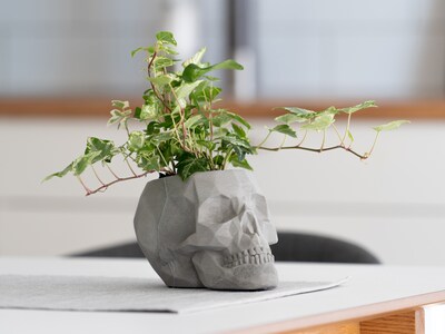 skull flower pot