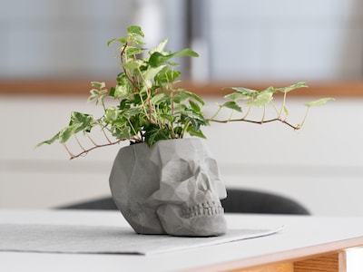 Dødningehoved Blomsterkrukke