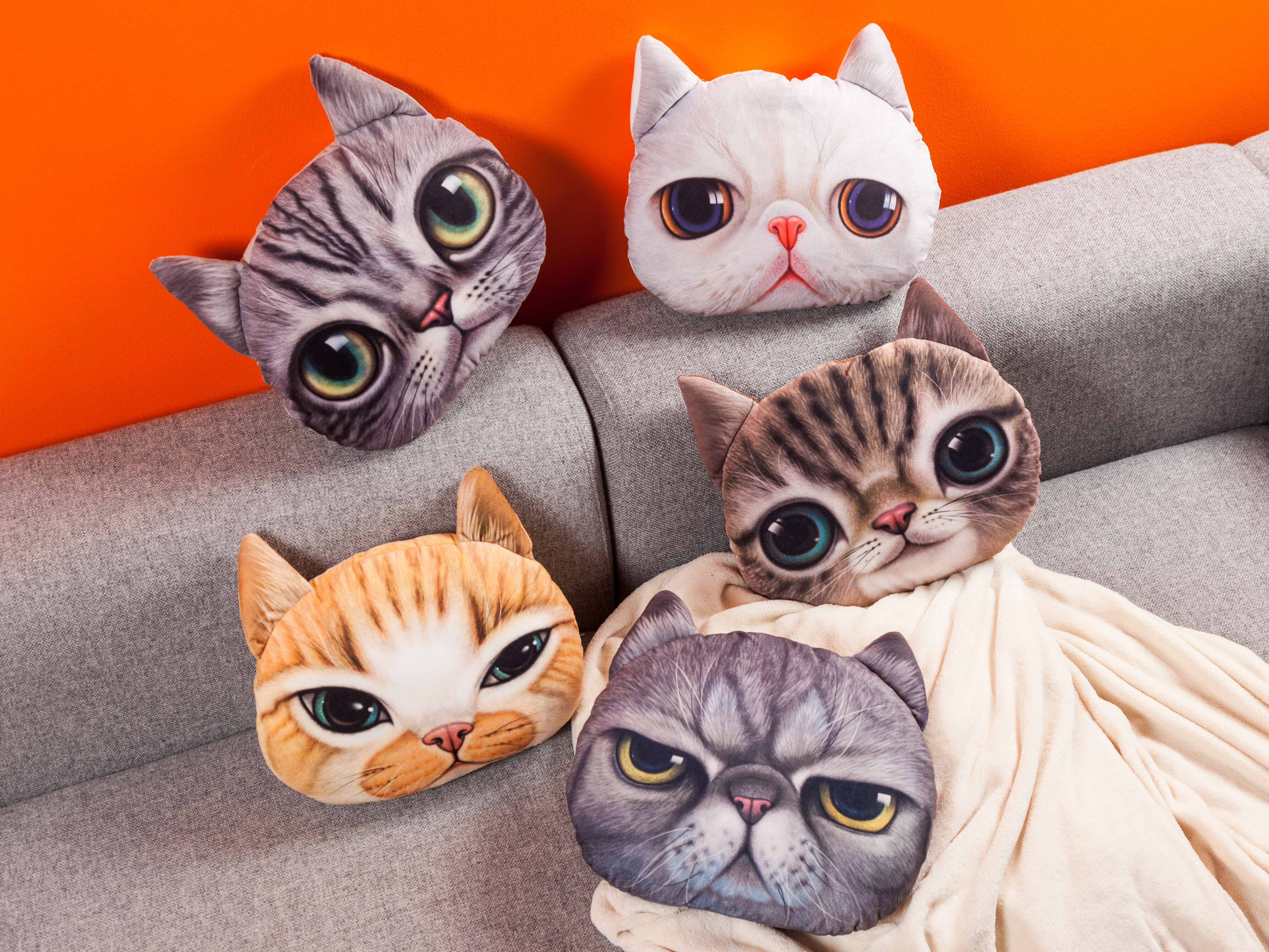 Kattkuddar - Spralla