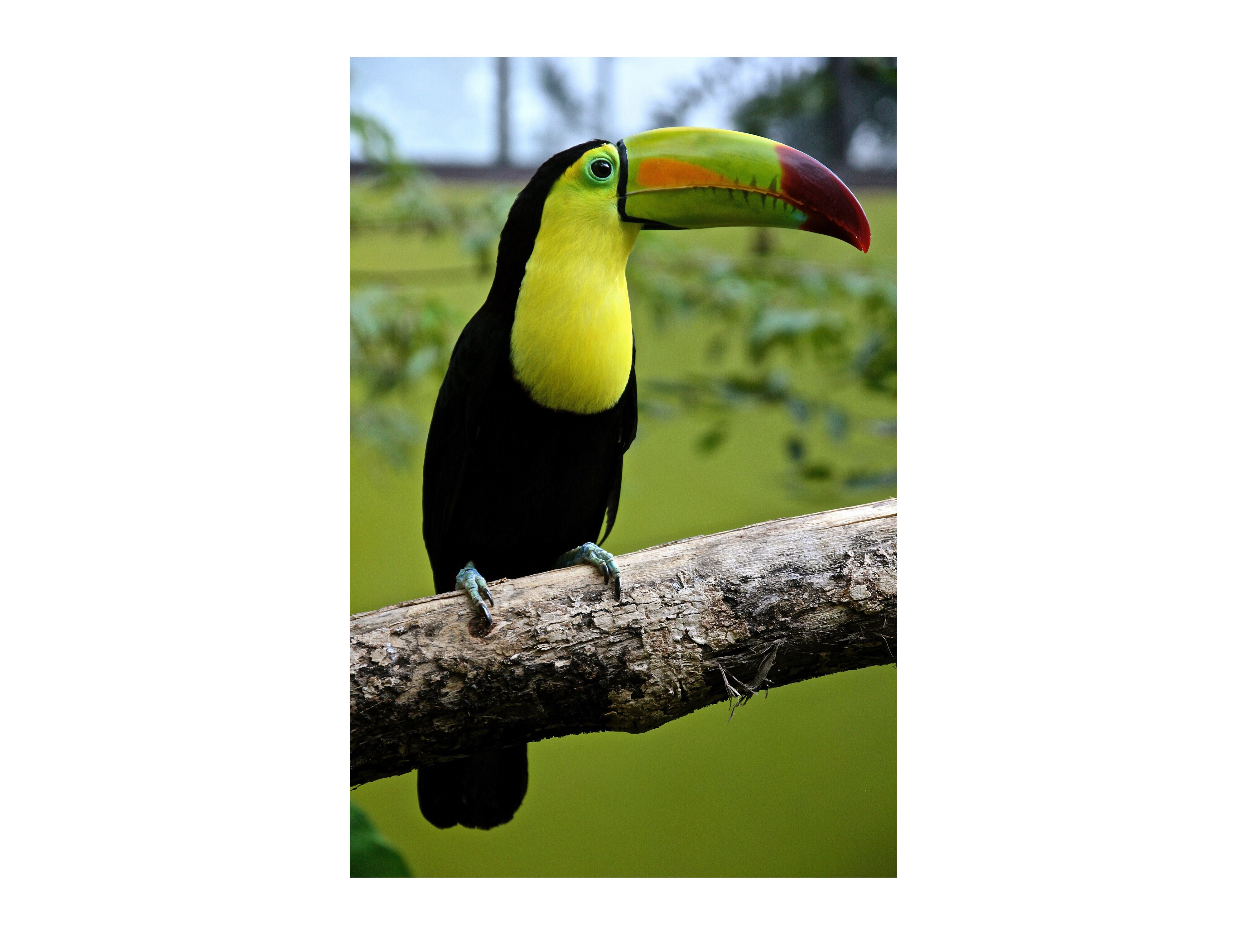 Verdens Minste Puslespill 