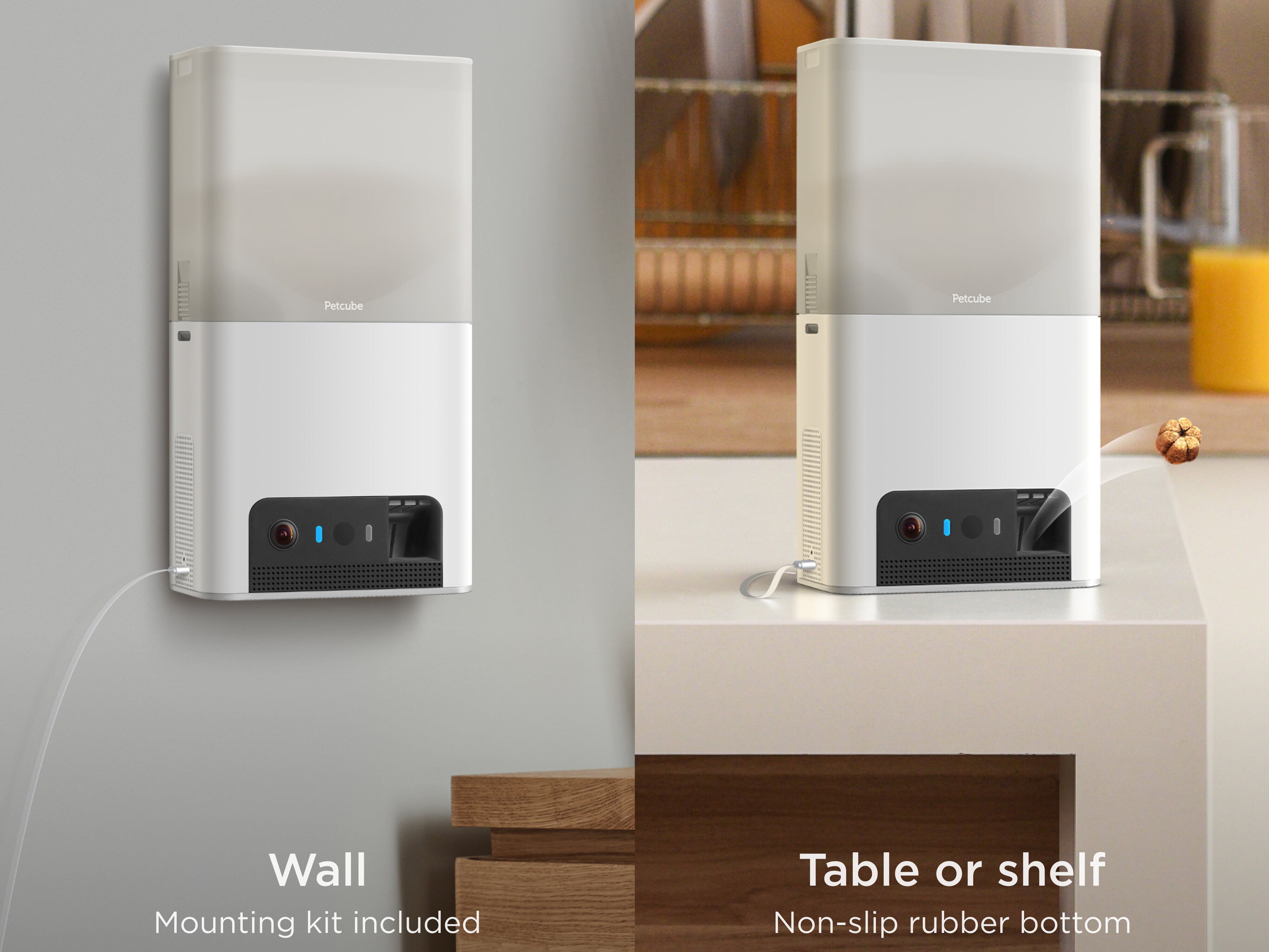 kamera til kjæledyr