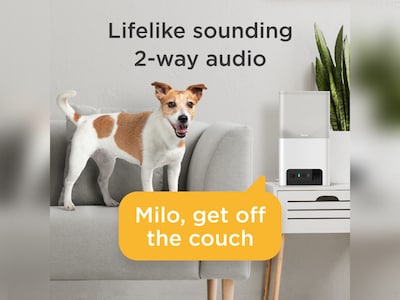hundkamera