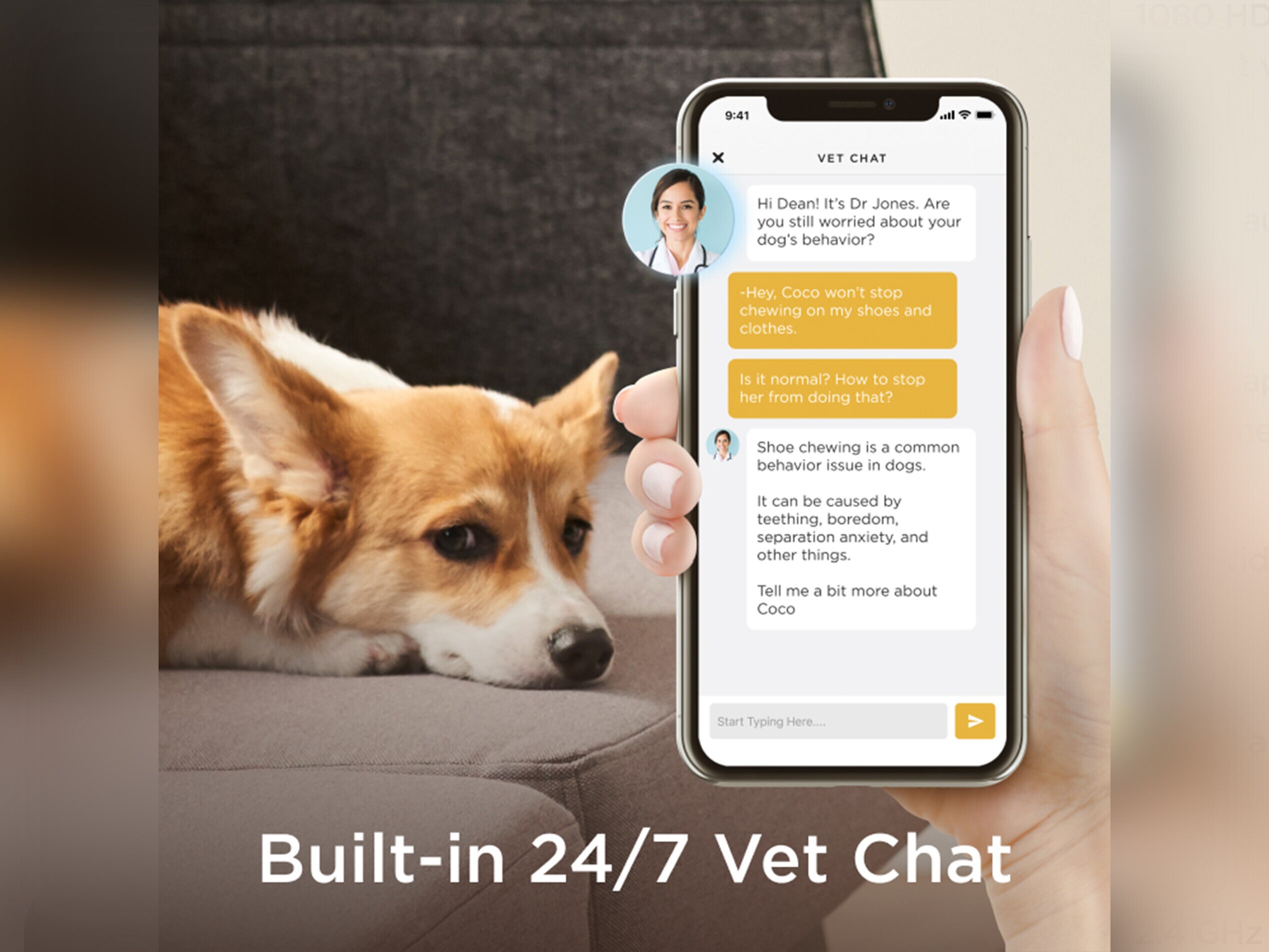 overvåkningskamera til husdyr