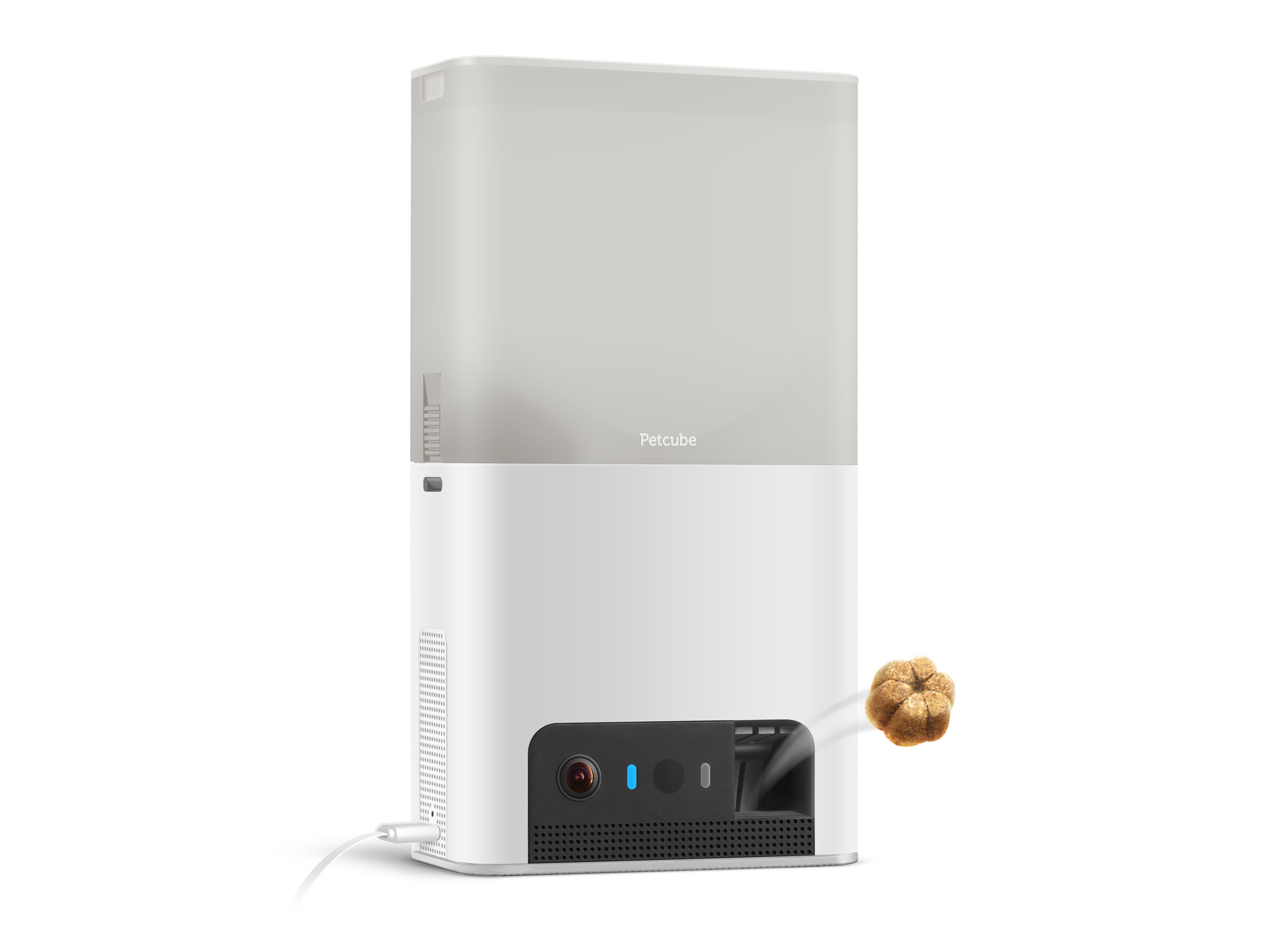 kamera overvåkning hund