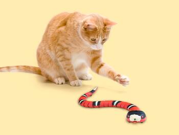 Smart Sensing Snake Katzenspielzeug