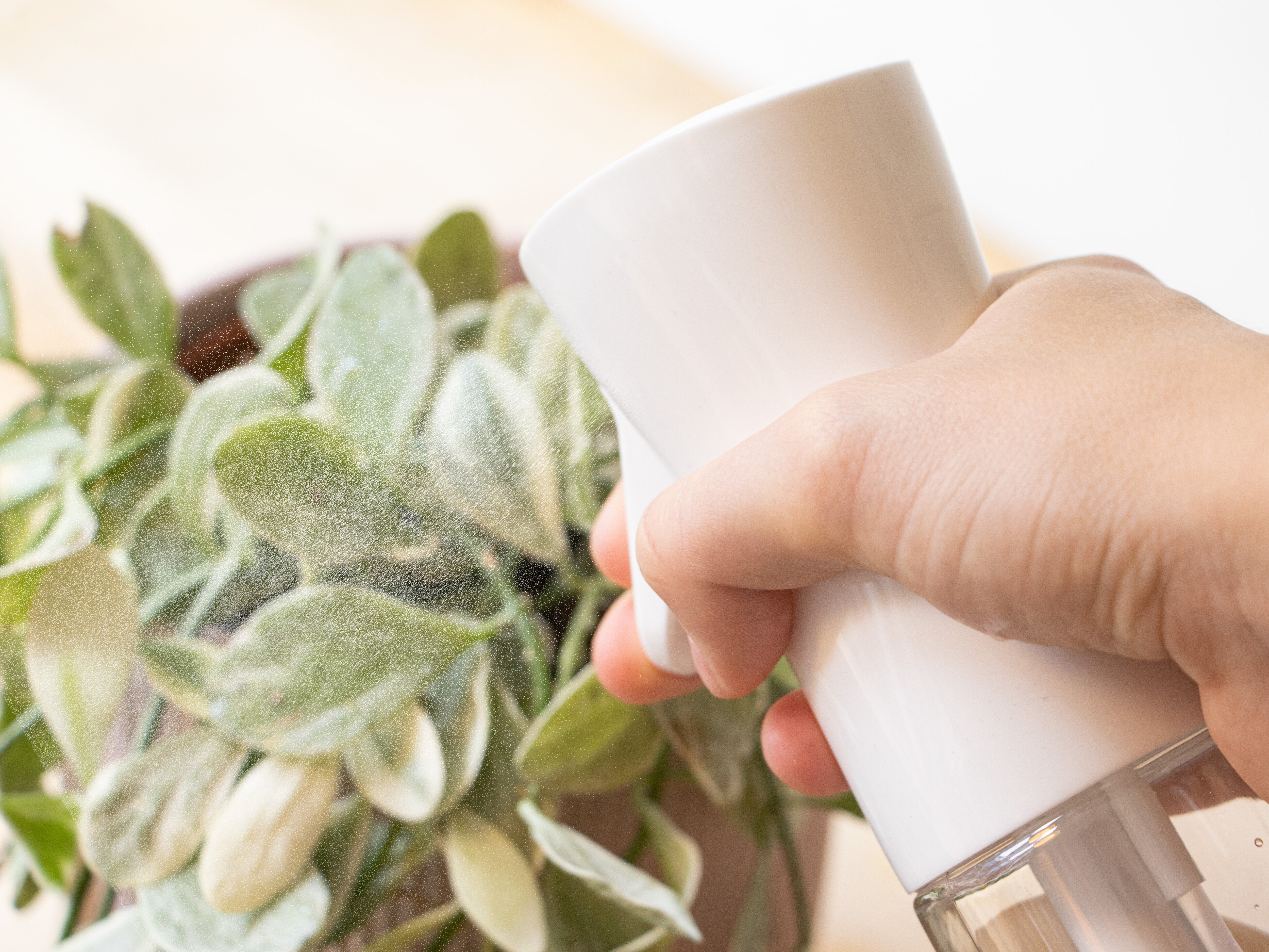 suihkepullo sumutoiminnolla