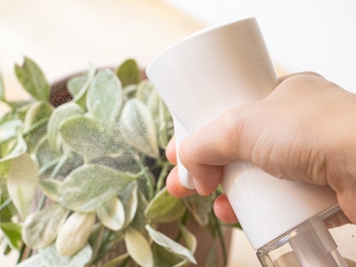 sprayflaske med mist-funktion