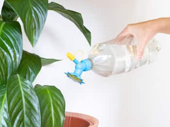 Brausekopf Für PET-Flaschen