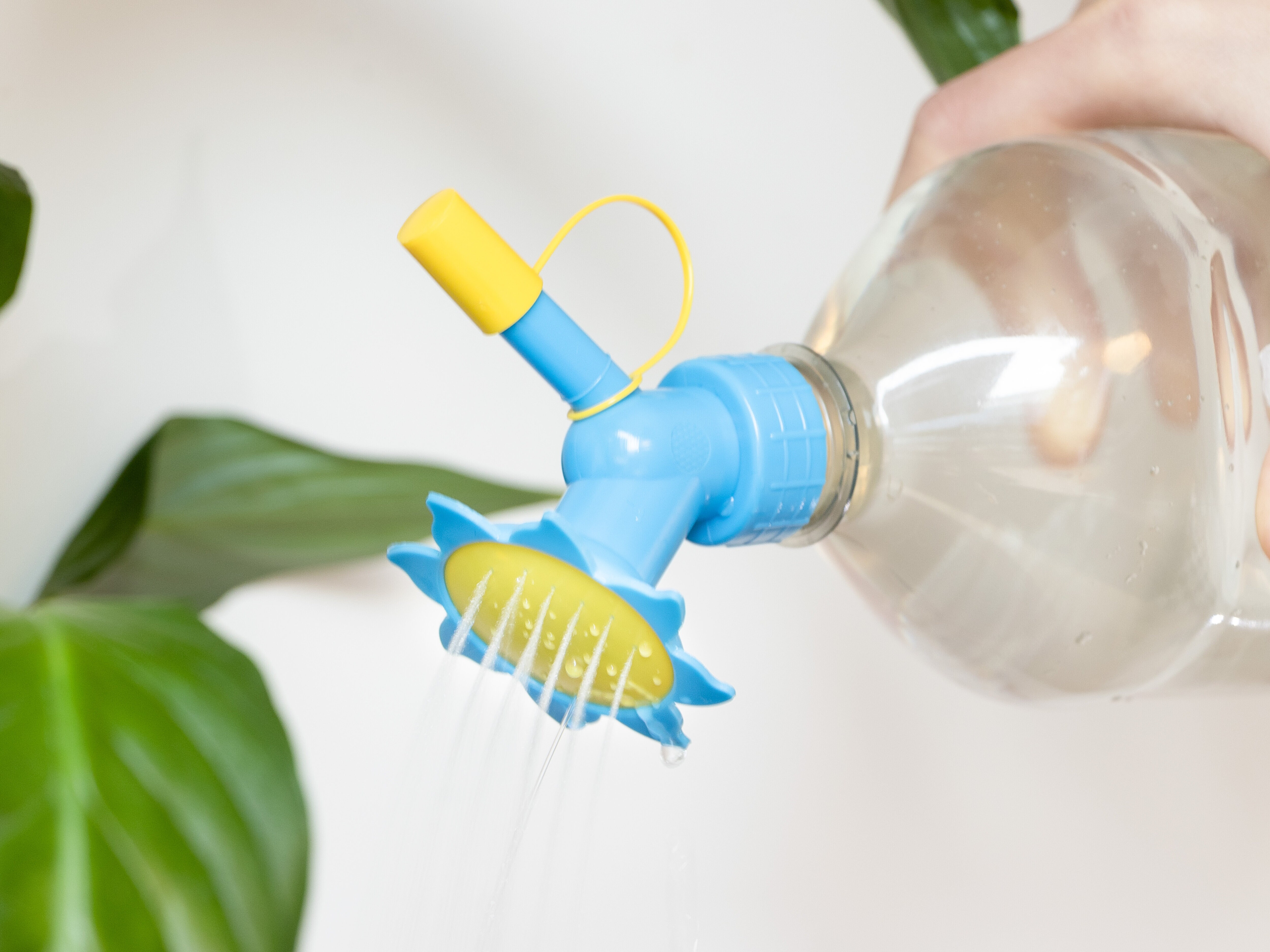 Gießaufsatz für Flasche