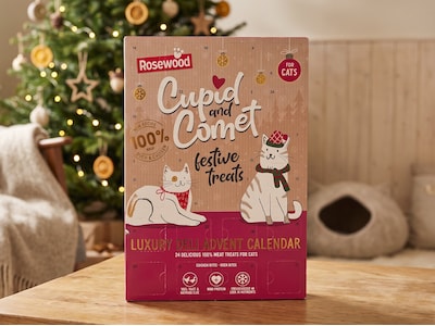 Cupid & Comet luksus-kattekalender